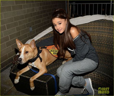 Pin on ARIANA'S DOGS