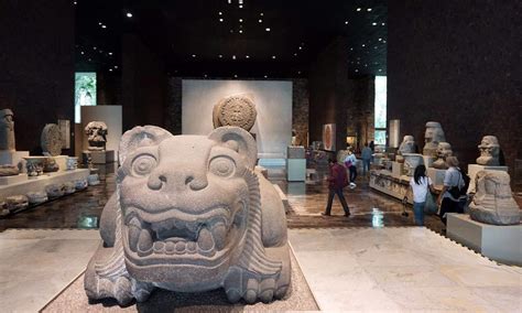 4 Mexico City Museums for the Bucket List | Flung