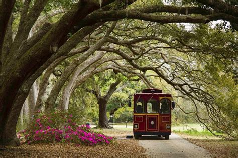 Charleston | Bus Tour Excursions Details