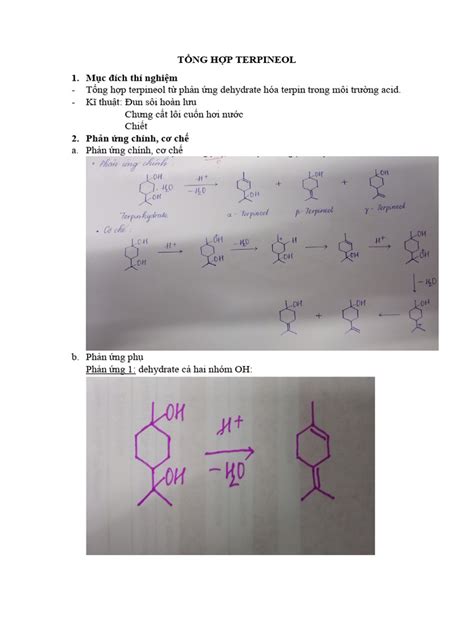 TỔNG-HỢP-TERPINEOL | PDF