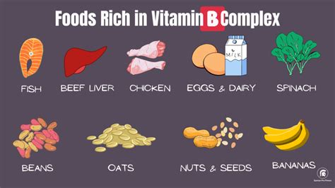 Normal Vitamin B Complex Intake at Viola Schaff blog