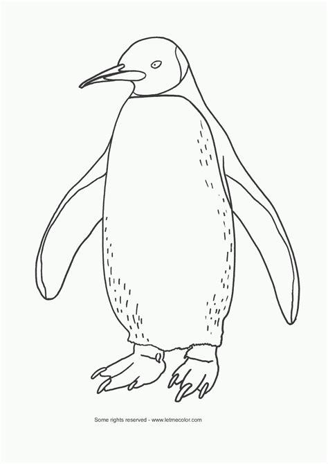 Coloring Pages: Funny Penguin Coloring Pages Collections 2011