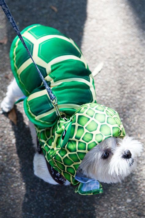 28 Costume-Clad Pups Winning Halloween #refinery29 http://www ...