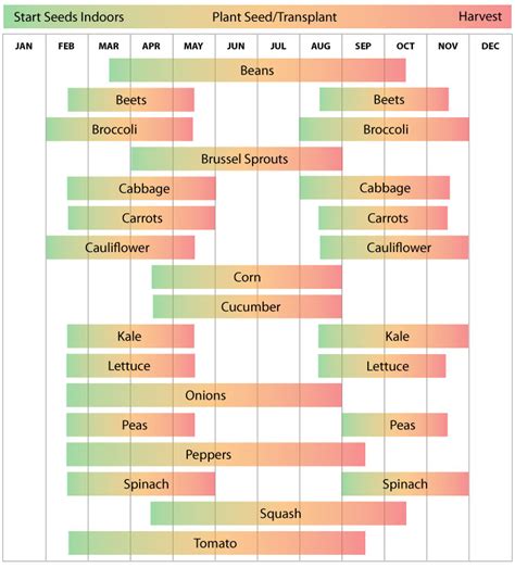 Zone 10A Planting Guide - Plant Ideas