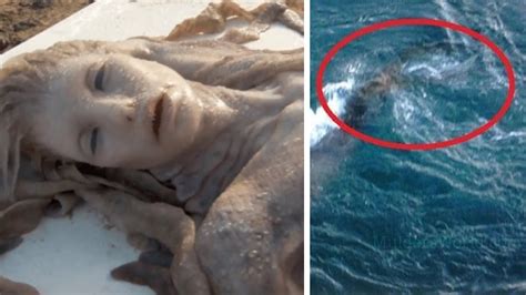 Pictures Of Real Mermaid Sightings