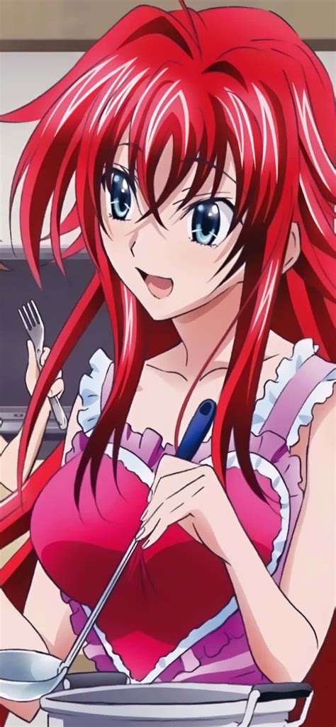 [100+] Rias Gremory Wallpapers | Wallpapers.com