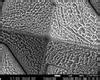 UV and IR laser induced ablation of Al2O3/SiN:H and a-Si:H/SiN:H | EPJ Photovoltaics