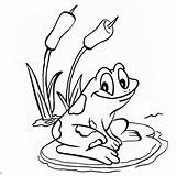 Pond Coloring Pages  Free Printable sketch template