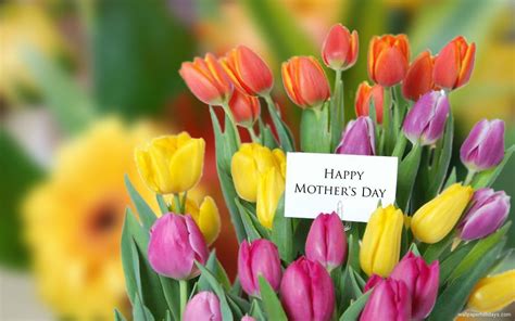 25 Best Mothers Day Flowers Ideas