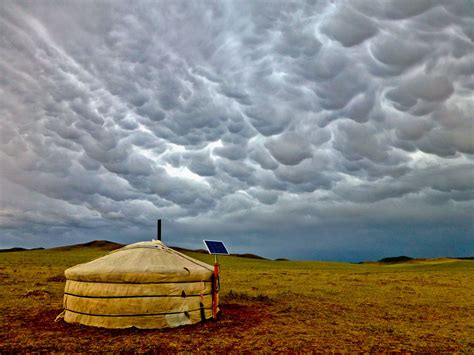 Live and work on the Mongolian steppe with a Nomadic family. Riding ...