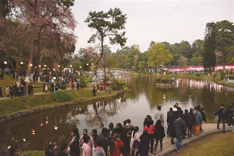 Ronan Keating to headline Cherry Blossom Festival - The Shillong Times