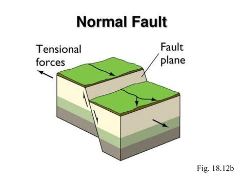 PPT - Earthquakes PowerPoint Presentation, free download - ID:1425819