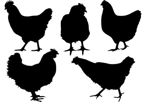 Chicken Silhouette Vector Art, Icons, and Graphics for Free Download