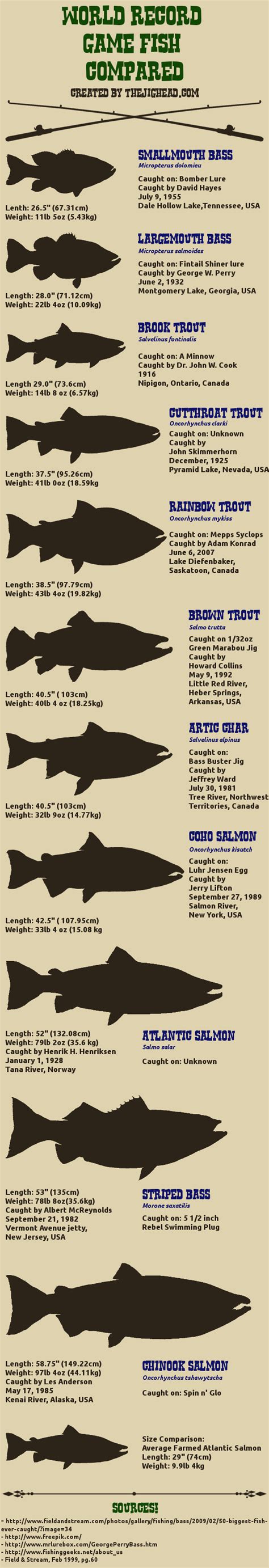 Trophy fish size comparison. My first real infographic. Looking for ...