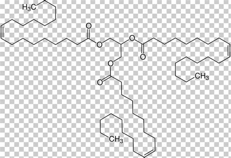 Triolein Triglyceride Oleic Acid Structural Formula Fatty Acid PNG, Clipart, Angle, Auto Part ...