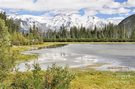 Vermillion Lakes Photograph by Wendy Elliott - Fine Art America