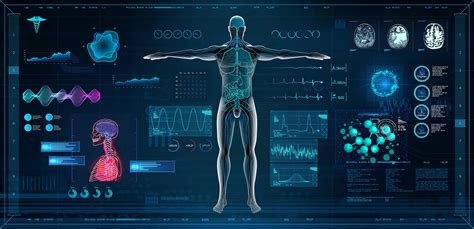 The Difference Between Pharmacokinetics and Pharmacodynamics - BioAgilytix