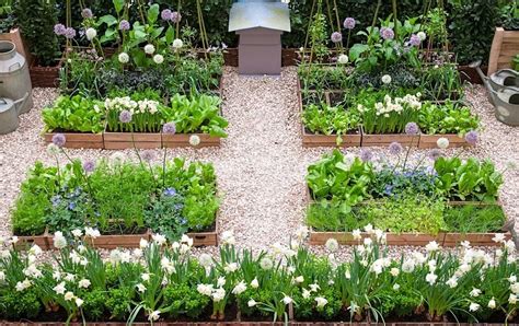 10 Best Home Garden Ideas To Enhance The Beauty of Home Garden