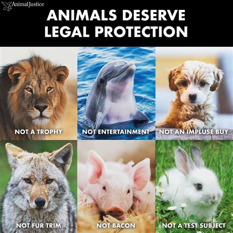 Animal Law