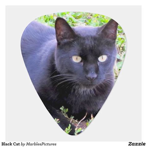 Black cat guitar pick zazzle – Artofit