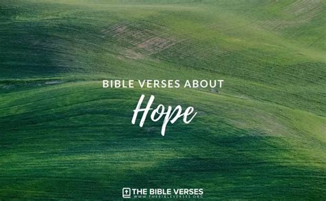 37 Bible Verses About Hope - Scripture Quotes