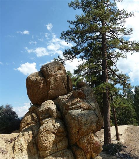 6 Easy-to-Reach Big Bear Hiking Trails | Vacasa