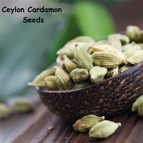 ORGANIC FRESH CARDAMOM Whole Pods Seeds Pure Natural High Quality ...