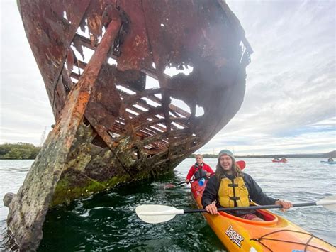 Dolphin Sanctuary & Ships Graveyard Kayak Tour | Adelaide - KKday