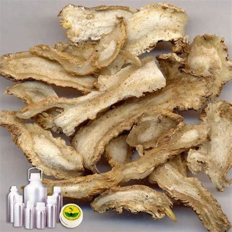 Angelica Root Oil at Rs 28600/kg | Govind Nagar | Kanpur | ID: 16525253462