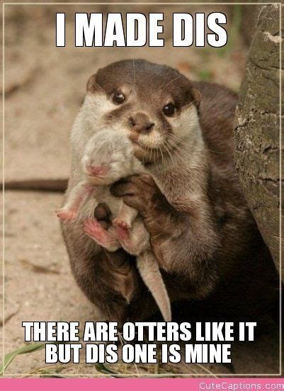 And 'dis' is adorable! #otterlove | Cute baby animals, Baby otters ...