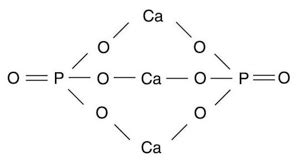 ionic compounds - What is the correct Lewis structure for calcium ...