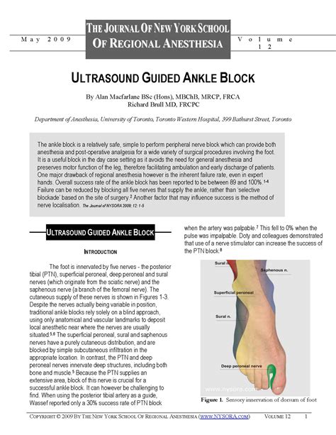 Ultrasound Guided Ankle Block - JNYSORA - NYSORA | NYSORA