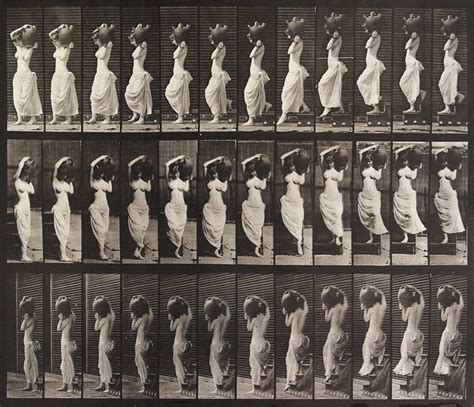 Animal Locomotion Plate 146, Eadweard Muybridge; Publisher: University ...