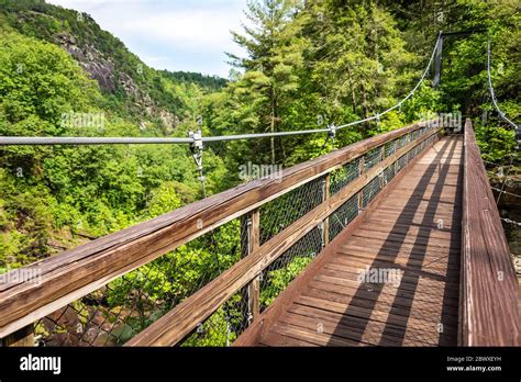 Suspension bridge over Tallulah Gorge at Tallulah Gorge State Park ...