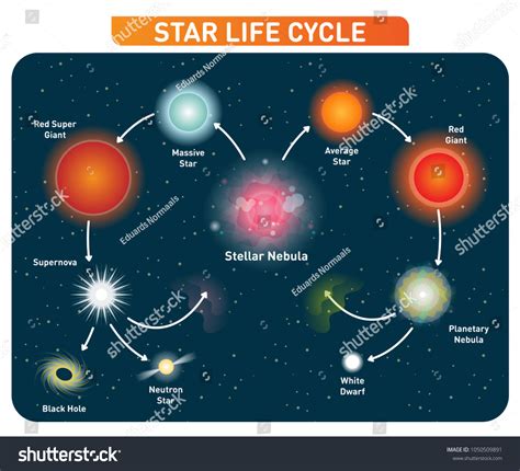 931 imágenes de Life cycle of star - Imágenes, fotos y vectores de stock | Shutterstock