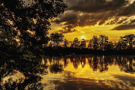 Reflective Photography of River and Trees · Free Stock Photo