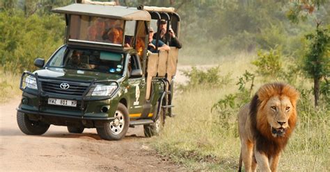 Kruger National Park: Full-Day Private Safari With Pickup | GetYourGuide