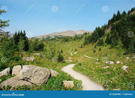 Hiking trail stock photo. Image of meadow, canada, ground - 4360486