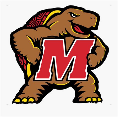 Logo Maryland Terrapins Football , Free Transparent Clipart - ClipartKey