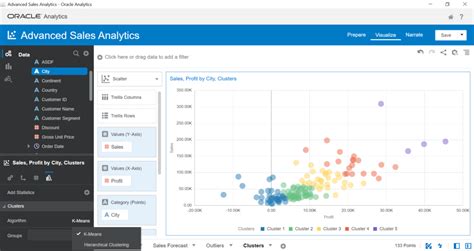 Oracle Analytics: Using Advanced Features on Practice