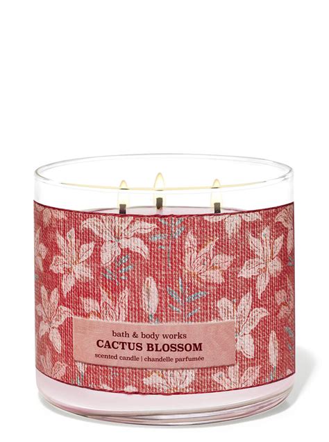 Cactus Blossom 3-Wick Candle | Bath and Body Works