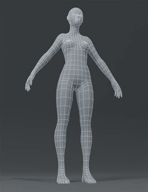 3D model Female Body Base Mesh 3D Model VR / AR / low-poly | CGTrader