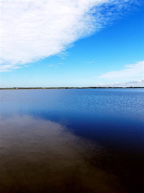 Lake Alfred Photograph by Christopher Mercer - Pixels