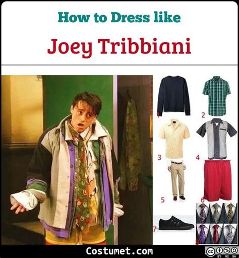 Joey Tribbiani (Friends) Costume for Halloween