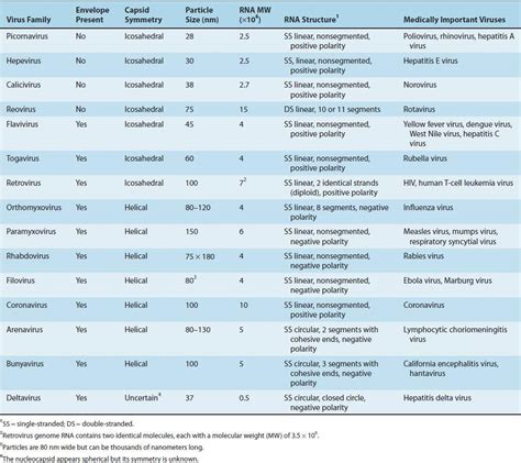 Classification of Medically Important Viruses | Basicmedical Key