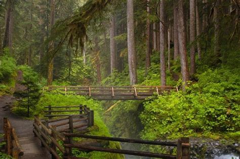 Tickets & Tours - Olympic National Park, Seattle - Viator