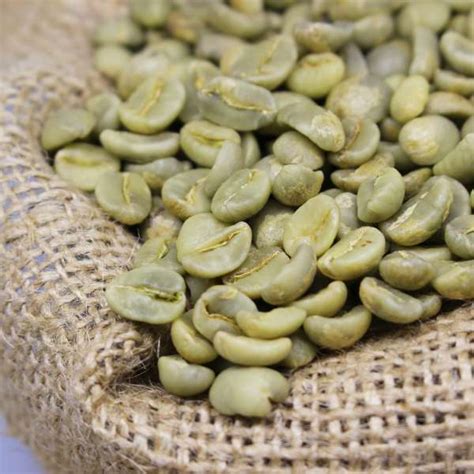 Liberica Coffee Beans Manufacturers | Liberica Coffee Beans Suppliers ...