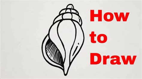 Conch Shell Drawing Easy - Draw-head