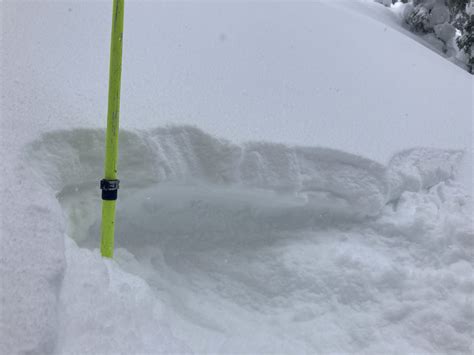 Gray Butte - New Snow | Mount Shasta Avalanche Center