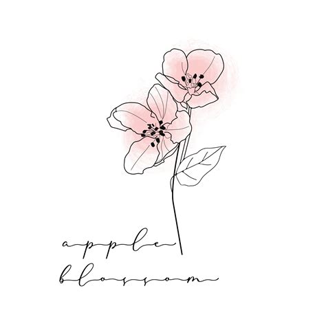 Apple Blossom Line Art Clipart Blossom Illustration Apple - Etsy Canada